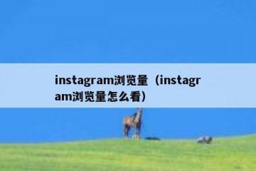 instagram浏览量（instagram浏览量怎么看）