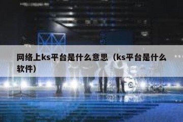 网络上ks平台是什么意思（ks平台是什么软件）
