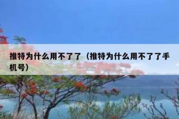 推特为什么用不了了（推特为什么用不了了手机号）