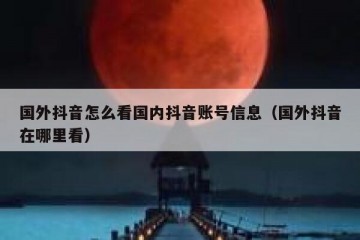 国外抖音怎么看国内抖音账号信息（国外抖音在哪里看）