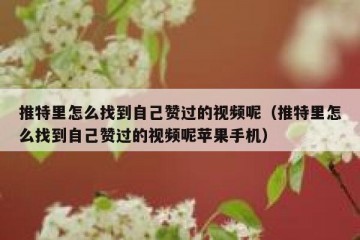 推特里怎么找到自己赞过的视频呢（推特里怎么找到自己赞过的视频呢苹果手机）
