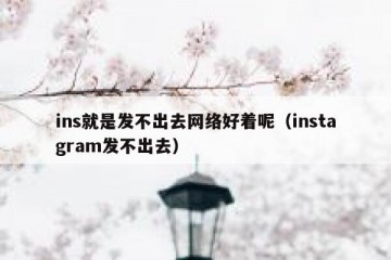ins就是发不出去网络好着呢（instagram发不出去）