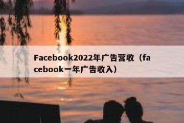 Facebook2022年广告营收（facebook一年广告收入）