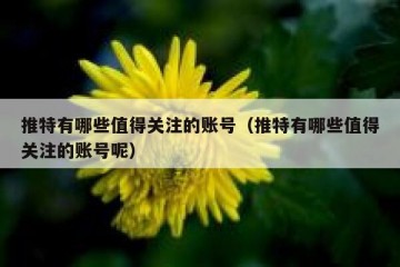 推特有哪些值得关注的账号（推特有哪些值得关注的账号呢）