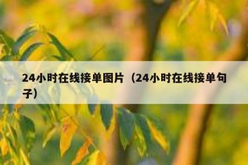 24小时在线接单图片（24小时在线接单句子）