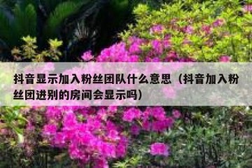 抖音显示加入粉丝团队什么意思（抖音加入粉丝团进别的房间会显示吗）