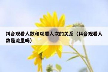 抖音观看人数和观看人次的关系（抖音观看人数是流量吗）