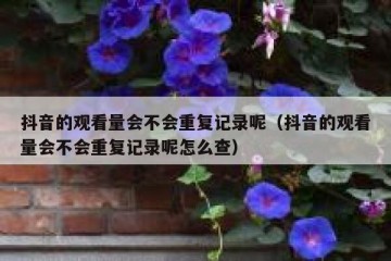 抖音的观看量会不会重复记录呢（抖音的观看量会不会重复记录呢怎么查）