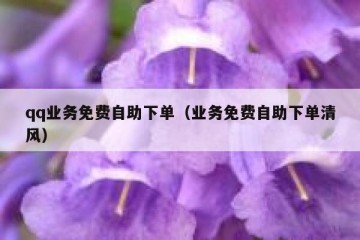 qq业务免费自助下单（业务免费自助下单清风）