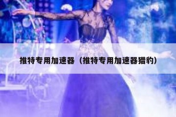 推特专用加速器（推特专用加速器猎豹）