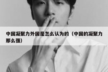 中国凝聚力外国是怎么认为的（中国的凝聚力那么强）