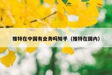 推特在中国有业务吗知乎（推特在国内）