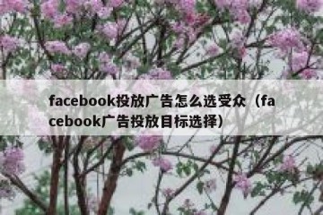 facebook投放广告怎么选受众（facebook广告投放目标选择）
