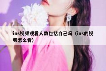 ins视频观看人数包括自己吗（ins的视频怎么看）