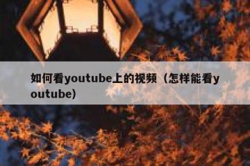 如何看youtube上的视频（怎样能看youtube）