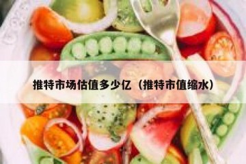 推特市场估值多少亿（推特市值缩水）