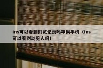 ins可以看到浏览记录吗苹果手机（ins可以看到浏览人吗）