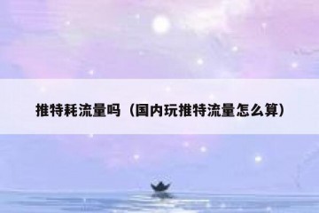 推特耗流量吗（国内玩推特流量怎么算）