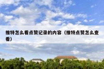 推特怎么看点赞记录的内容（推特点赞怎么查看）