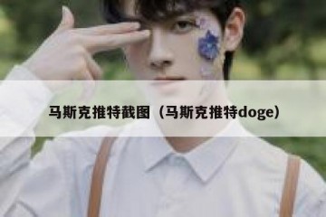 马斯克推特截图（马斯克推特doge）