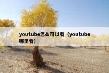 youtube怎么可以看（youtube哪里看）