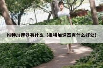 推特加速器有什么（推特加速器有什么好处）