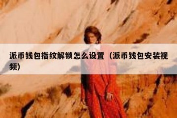 派币钱包指纹解锁怎么设置（派币钱包安装视频）