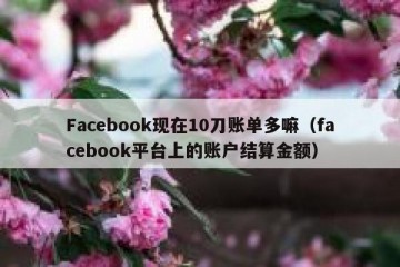 Facebook现在10刀账单多嘛（facebook平台上的账户结算金额）