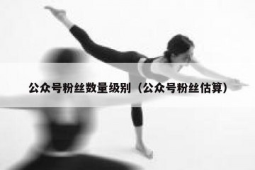 公众号粉丝数量级别（公众号粉丝估算）