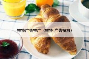 推特广告推广（推特 广告投放）