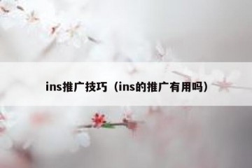 ins推广技巧（ins的推广有用吗）