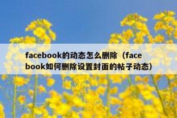 facebook的动态怎么删除（facebook如何删除设置封面的帖子动态）