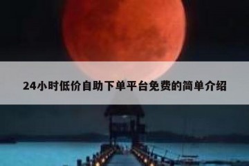 24小时低价自助下单平台免费的简单介绍