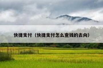 快捷支付（快捷支付怎么查钱的去向）