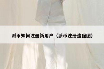 派币如何注册新用户（派币注册流程图）