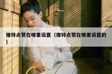 推特点赞在哪里设置（推特点赞在哪里设置的）