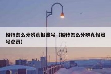 推特怎么分辨真假账号（推特怎么分辨真假账号登录）