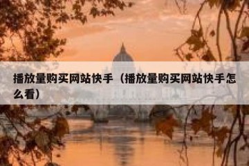 播放量购买网站快手（播放量购买网站快手怎么看）