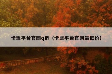 卡盟平台官网q币（卡盟平台官网最低价）