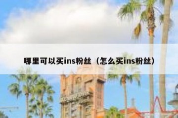 哪里可以买ins粉丝（怎么买ins粉丝）