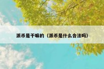 派币是干嘛的（派币是什么合法吗）