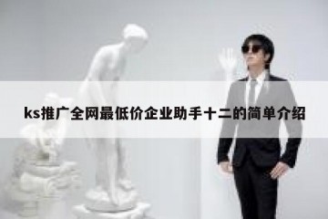 ks推广全网最低价企业助手十二的简单介绍