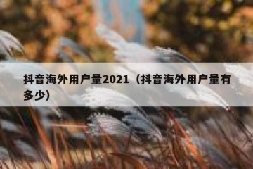 抖音海外用户量2021（抖音海外用户量有多少）