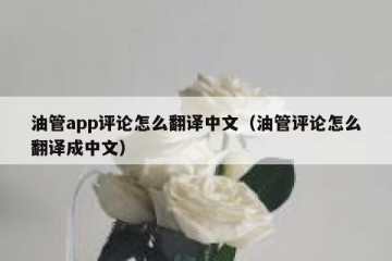 油管app评论怎么翻译中文（油管评论怎么翻译成中文）