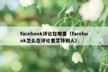 facebook评论在哪里（facebook怎么在评论里艾特别人）