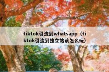 tiktok引流到whatsapp（tiktok引流到独立站该怎么玩）