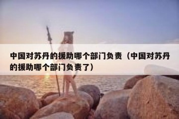 中国对苏丹的援助哪个部门负责（中国对苏丹的援助哪个部门负责了）