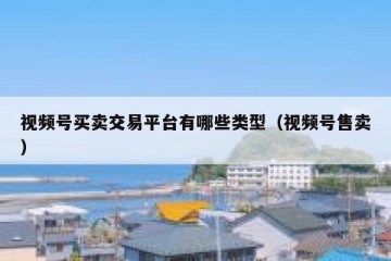 视频号买卖交易平台有哪些类型（视频号售卖）