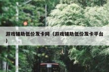 游戏辅助低价发卡网（游戏辅助低价发卡平台）