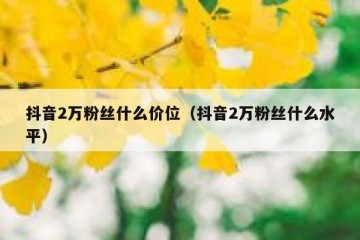 抖音2万粉丝什么价位（抖音2万粉丝什么水平）